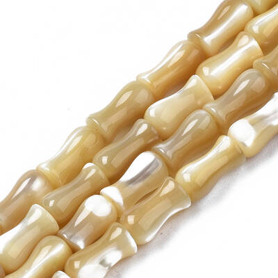 Natural Trochid Shell/Trochus Shell Beads Strands
