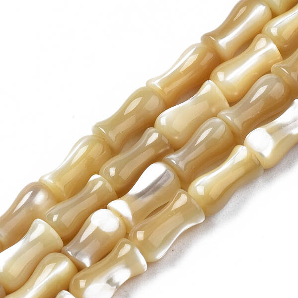 Natural Trochid Shell/Trochus Shell Beads Strands