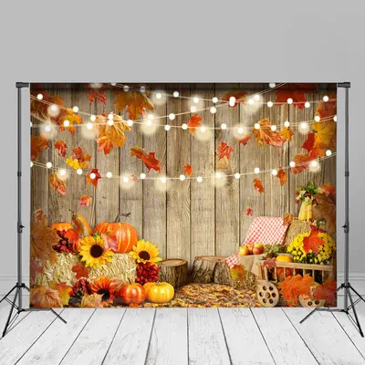 Pumpkin Maples Corn Apple Wood Wall Autumn Backdrop - Aperturee