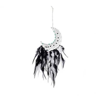 Iron Woven Web/Net with Feather Pendant Decorations