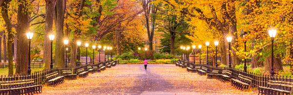TellBetter: Self-Guided Walking Tour of New York’s Iconic Central Park