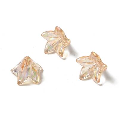 Transparent Acrylic Bead Caps