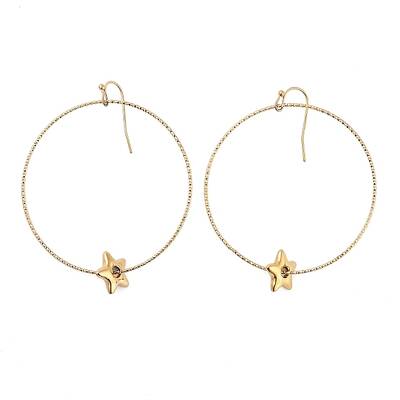 Ion Plating(IP) 304 Stainless Steel Dangle Earrings for Women