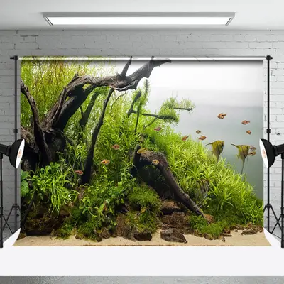 Brown Branch Seaweed Fish Tank Landscaping Backdrop - Aperturee