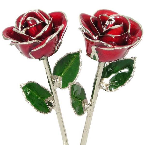 His and Her 11 Silver Trim Roses