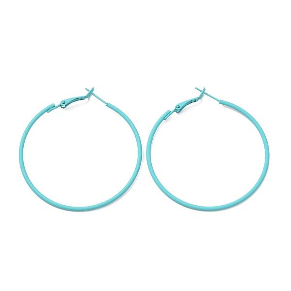 Baking Paint 201 Stainless Steel Hoop Earrings
