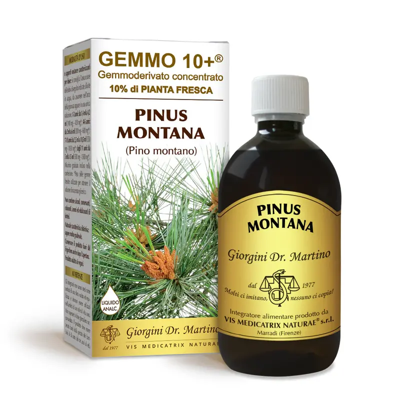 Dr Giorgini gemmo 10+ mountain pine 500 ml non-alcoholic liquid