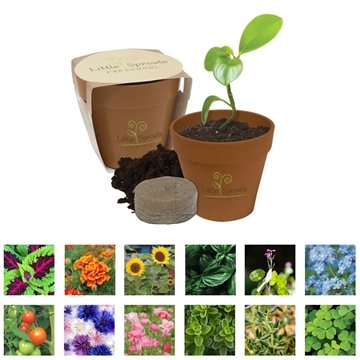 100 Custom Mini Bamboo Blossom Kit - Biodegradable & Eco-friendly