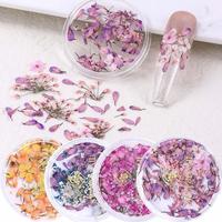 Mixed Color Dried Flower Nail Art Decoration, 4 Boxes Natural Flower Petals Nail Art Decorations, DIY Nail Art Supplies for W...