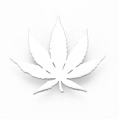 Leaf Brooch