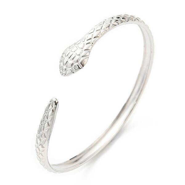 Non-Tarnish 304 Stainless Steel Snake Cuff Bangle
