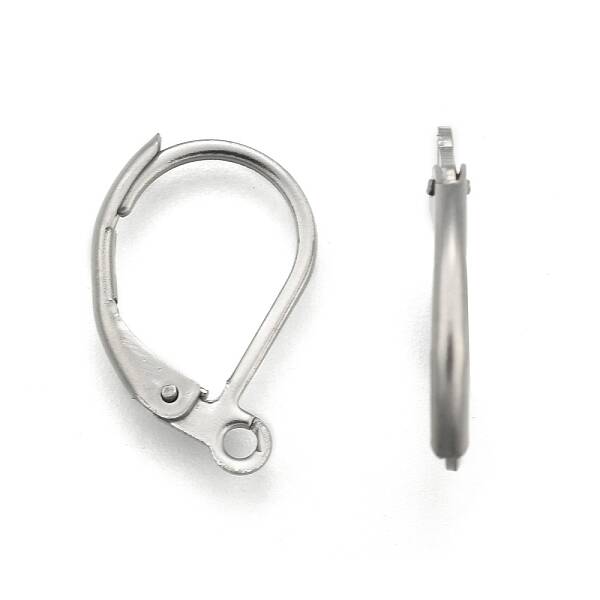 Tarnish Resistant Stainless Steel Color Tone 304 Stainless Steel Leverback Earring Findings