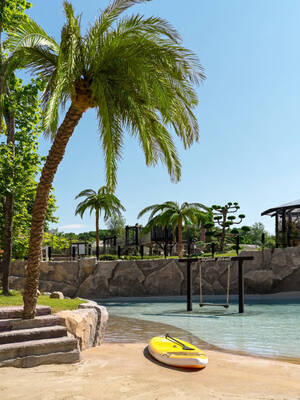 Dolphin Planet Hotel & SPA