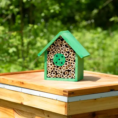 Wooden Bee House | 8 inch - Blue
