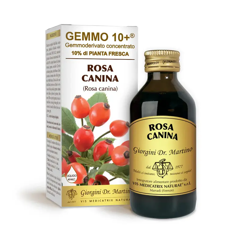 Dr Giorgini gemmo 10+ rosehip 100 ml non-alcoholic liquid