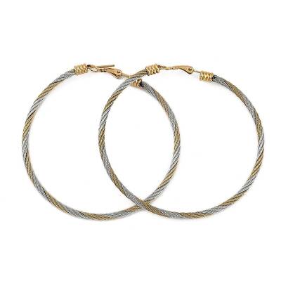 Ion Plating(IP) 304 Stainless Steel Ring Hoop Earrings for Women