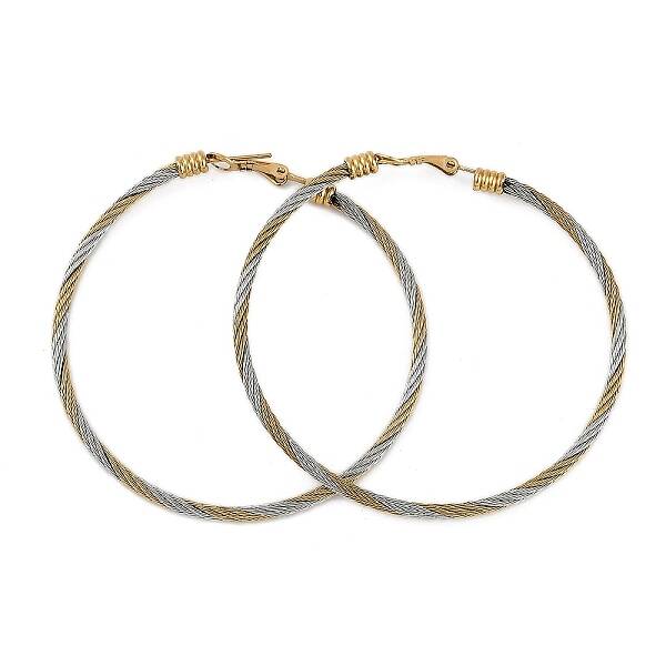 Ion Plating(IP) 304 Stainless Steel Ring Hoop Earrings for Women