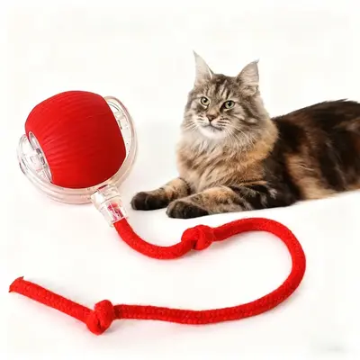 USB Rechargeable Interactive Cat Toys Ball for Indoor,  Auto Moving Rolling Ball to Relieve Boredom, Anti-Depression Fun Gift...