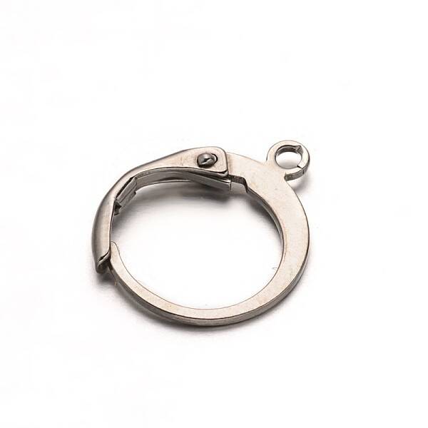Tarnish Resistant 304 Stainless Steel Leverback Earring Findings