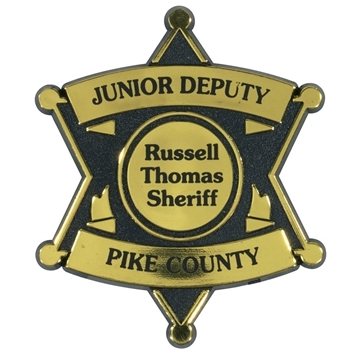 250 Customized 6 Point Star Badge - Gold & Clip Back