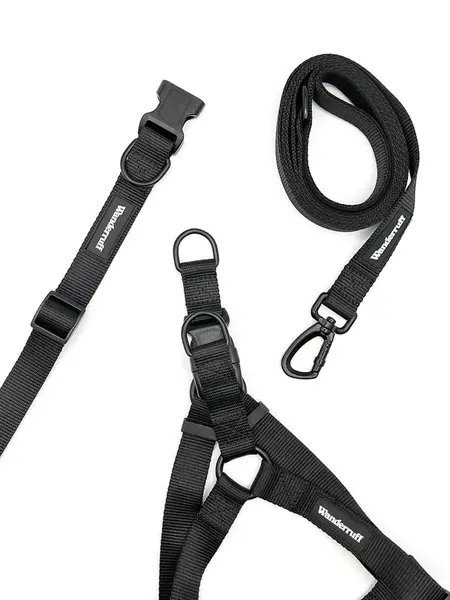 Samson Walk Kit | Collar Size: S | Harness Size: M | Leash Width: M/L (1