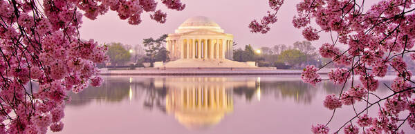 Blossoming Friendship: A walking tour of Washington D.C.’s Tidal Basin