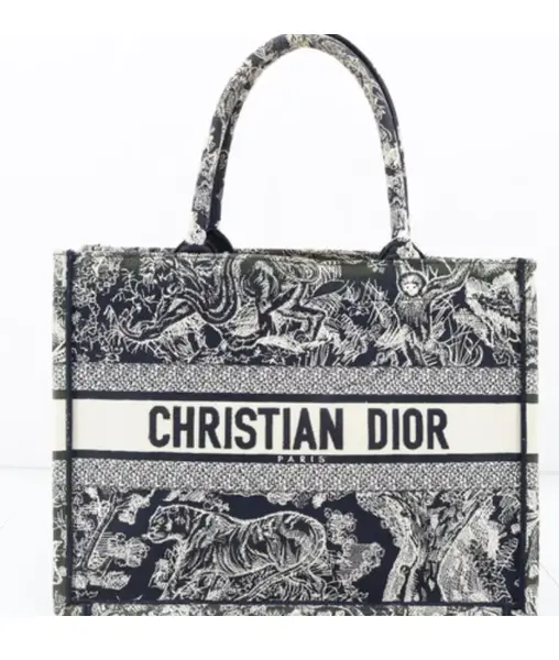 Pre-owned CHRISTIAN DIOR fabric tote bags Book Tote Embroidered Canvas Medium