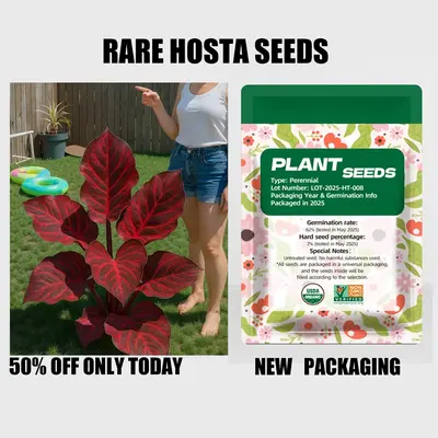 Plant seeds, rare hosta seeds, perennial shade garden ornamental foliage, suitable for outdoor landscaping, easy to grow, fam...