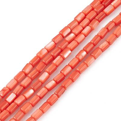 Natural Freshwater Shell Dyed Beads Strands