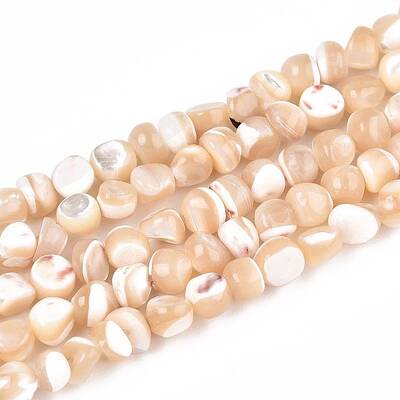Natural Trochid Shell/Trochus Shell Beads Strands