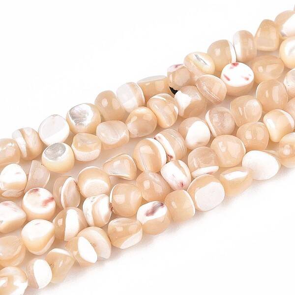 Natural Trochid Shell/Trochus Shell Beads Strands