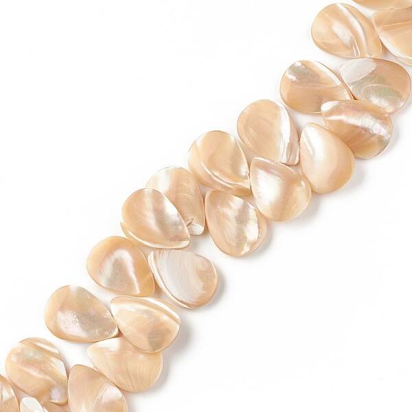 Natural Trochid Shell/Trochus Shell Beads
