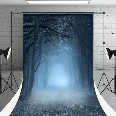 Dim Forest Smog Halloween Photoshoot Sweep Backdrop - Aperturee