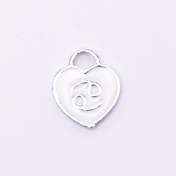 Alloy Enamel Charms