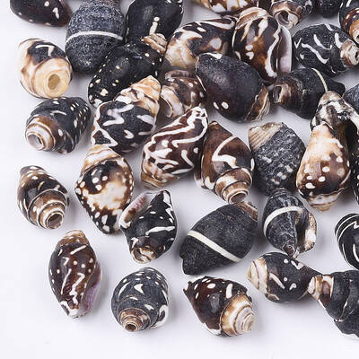 Spiral Shell Beads