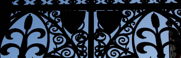 Legal Eagles Photography Tour