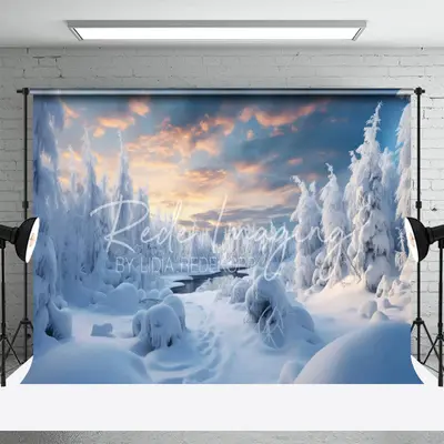 Winter Snowy Landscape Christmas Photo Backdrop - Aperturee