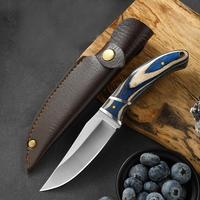 Stainless Steel Fruit Knife with Pouch, 1 Count Portable Knife with Colorful Wood Handle, Multipurpose Knife  Tools for Home ...