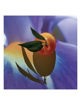 Loewe Solo Elixir Eau de Parfum for Men 50ml