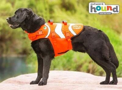 Fun Fish Dog Life Jacket - XS