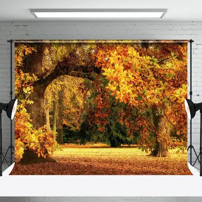 Yellow Natural Scenery Forest Auntumn Photo Backdrop