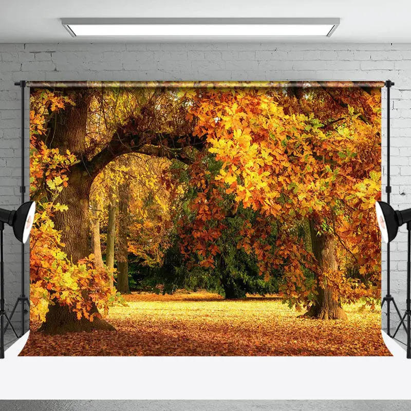 Yellow Natural Scenery Forest Auntumn Photo Backdrop