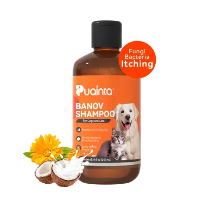 Puinta Banov Shampoo for Dogs & Cats - Natural Formula with Chamomile Rosemary & Coconut Oil for Dry Itchy Skin & Fur Problem...