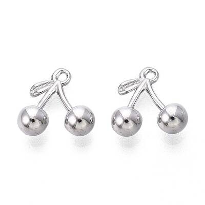 304 Stainless Steel Charms