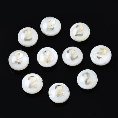 Natural Freshwater Shell Beads