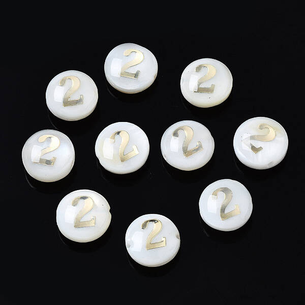 Natural Freshwater Shell Beads