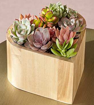 My Heart Succulent Garden - FedEx