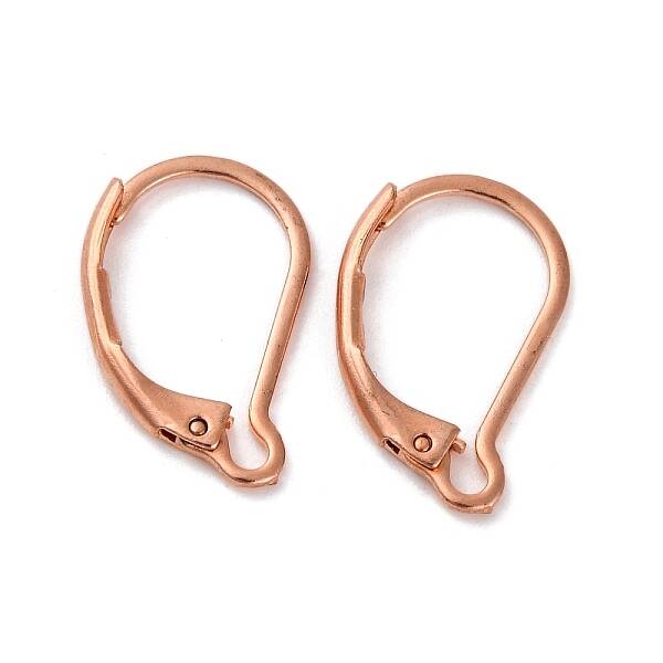 304 Stainless Steel Leverback Earring Findings