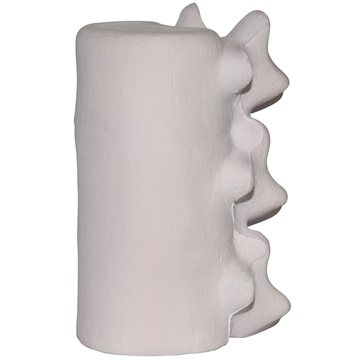 150 Customized Spine Stress Reliever - Medical