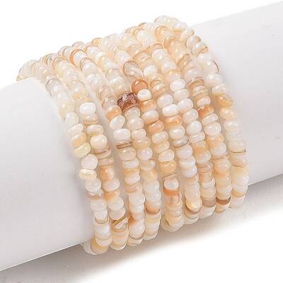 Natural Freshwater Shell Beads Strands